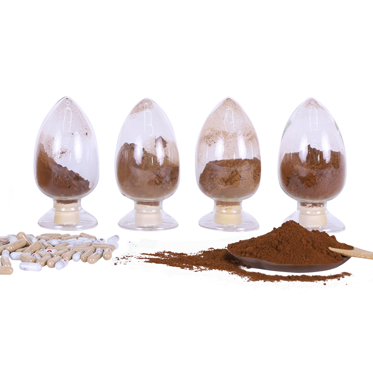 Reishi Mushroom Lion's Mane Mushroom Cordyceps Militaris Mushroom Extract Blends.jpg