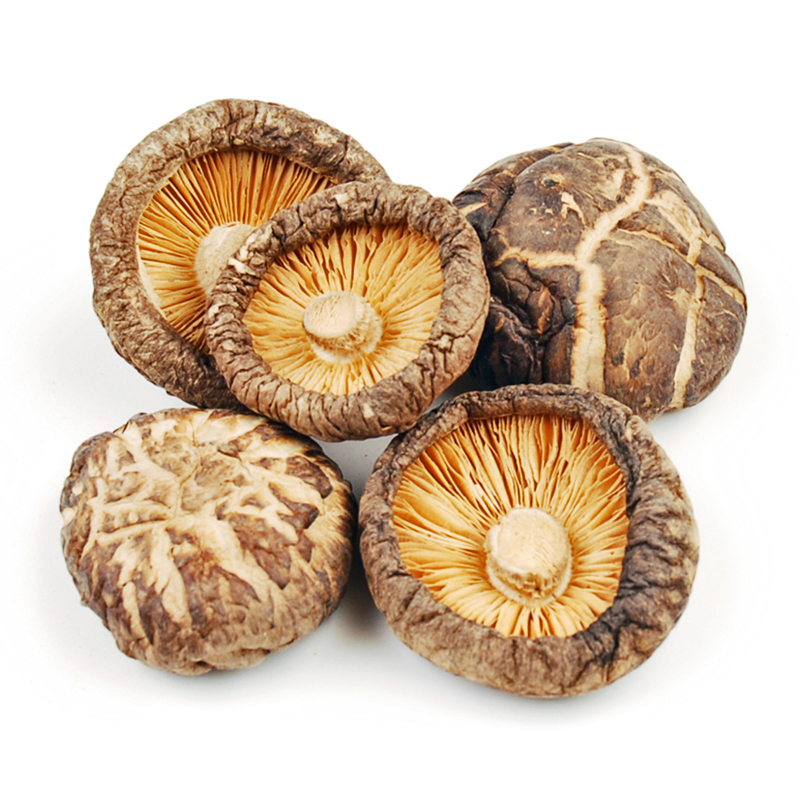 Organic Shiitake Mushroom Extract: Immune & Health Boosting Power