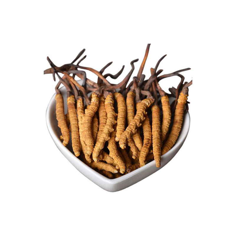 Organic Cordyceps Sinensis Extract Powder - Boost Vitality & Endurance