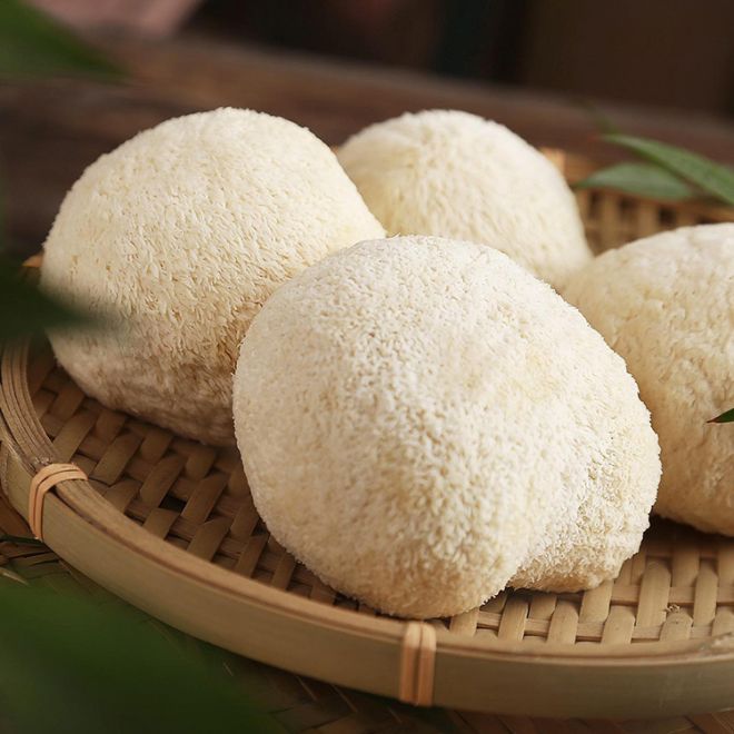 Can turkey tail extract boost the immune system?