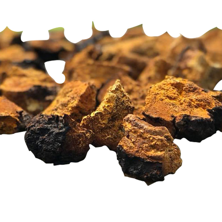 Chaga Mushroom Powder Extract: Boost Immunity & Enhance Wellness