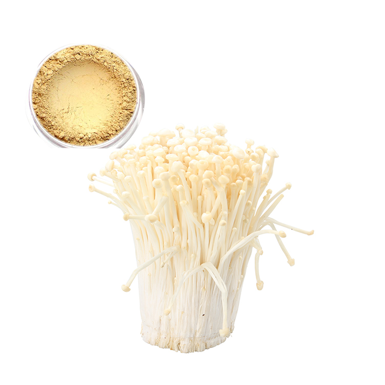 Organic Enoki/Flammulina Velutipes Mushroom Powder